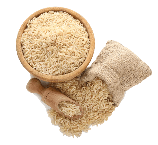 image-removebg-preview (1)